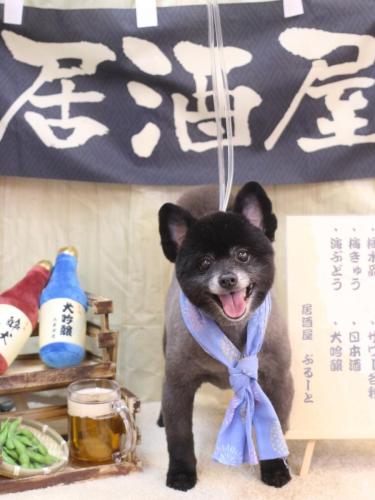 20240623チョビくん